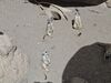 Filename=20250328_039.jpg
Filesize=4118KiB
Dimensions=2048x1536
Date added=Jul 09, 2025 20250328_039.jpg