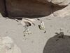 Filename=20250328_040.jpg
Filesize=4090KiB
Dimensions=2048x1536
Date added=Jul 09, 2025 20250328_040.jpg