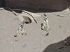 Filename=20250328_041.jpg
Filesize=3337KiB
Dimensions=2048x1536
Date added=Jul 09, 2025 20250328_041.jpg