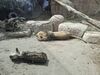 Filename=20250328_047.jpg
Filesize=5859KiB
Dimensions=2048x1536
Date added=Jul 09, 2025 20250328_047.jpg