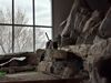 Filename=20250328_052.jpg
Filesize=4580KiB
Dimensions=2048x1536
Date added=Jul 09, 2025 20250328_052.jpg