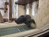 Filename=20250328_054.jpg
Filesize=3784KiB
Dimensions=2048x1536
Date added=Jul 09, 2025 20250328_054.jpg