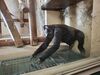 Filename=20250328_055.jpg
Filesize=3569KiB
Dimensions=2048x1536
Date added=Jul 09, 2025 20250328_055.jpg