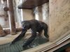 Filename=20250328_056.jpg
Filesize=3994KiB
Dimensions=2048x1536
Date added=Jul 09, 2025 20250328_056.jpg