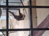 Filename=20250328_057.jpg
Filesize=1646KiB
Dimensions=2048x1536
Date added=Jul 09, 2025 20250328_057.jpg