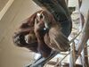 Filename=20250328_063.jpg
Filesize=3412KiB
Dimensions=2048x1536
Date added=Jul 09, 2025 20250328_063.jpg