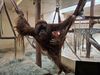 Filename=20250328_064.jpg
Filesize=4115KiB
Dimensions=2048x1536
Date added=Jul 09, 2025 20250328_064.jpg