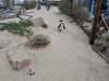 Filename=20250328_065.jpg
Filesize=6189KiB
Dimensions=2048x1536
Date added=Jul 09, 2025 20250328_065.jpg