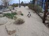 Filename=20250328_066.jpg
Filesize=6090KiB
Dimensions=2048x1536
Date added=Jul 09, 2025 20250328_066.jpg