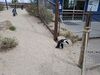 Filename=20250328_067.jpg
Filesize=5780KiB
Dimensions=2048x1536
Date added=Jul 09, 2025 20250328_067.jpg