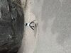 Filename=20250328_070.jpg
Filesize=5876KiB
Dimensions=2048x1536
Date added=Jul 09, 2025 20250328_070.jpg