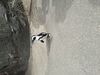 Filename=20250328_071.jpg
Filesize=5815KiB
Dimensions=2048x1536
Date added=Jul 09, 2025 20250328_071.jpg