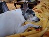 Filename=20250328_073.jpg
Filesize=3276KiB
Dimensions=2048x1536
Date added=Jul 09, 2025 20250328_073.jpg