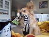 Filename=20250330_001.jpg
Filesize=3652KiB
Dimensions=2048x1536
Date added=Jul 09, 2025 20250330_001.jpg