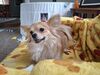 Filename=20250330_002.jpg
Filesize=3637KiB
Dimensions=2048x1536
Date added=Jul 09, 2025 20250330_002.jpg