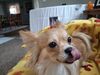 Filename=20250330_004.jpg
Filesize=3692KiB
Dimensions=2048x1536
Date added=Jul 09, 2025 20250330_004.jpg