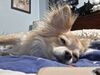 Filename=20250402_001.jpg
Filesize=2619KiB
Dimensions=2048x1536
Date added=Jul 10, 2025 20250402_001.jpg