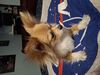 Filename=20250402_003.jpg
Filesize=3620KiB
Dimensions=2048x1536
Date added=Jul 10, 2025 20250402_003.jpg
