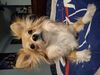 Filename=20250402_004.jpg
Filesize=3626KiB
Dimensions=2048x1536
Date added=Jul 10, 2025 20250402_004.jpg