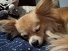 Filename=20250403_002.jpg
Filesize=3447KiB
Dimensions=2048x1536
Date added=Jul 10, 2025 20250403_002.jpg