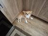 Filename=20250407_001.jpg
Filesize=3502KiB
Dimensions=2048x1536
Date added=Jul 10, 2025 20250407_001.jpg