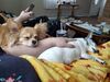 Filename=20250407_004.jpg
Filesize=3938KiB
Dimensions=2048x1536
Date added=Jul 10, 2025 20250407_004.jpg