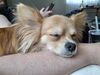Filename=20250407_005.jpg
Filesize=4209KiB
Dimensions=2048x1536
Date added=Jul 10, 2025 20250407_005.jpg