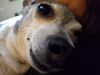 Filename=20250409_004.jpg
Filesize=3068KiB
Dimensions=2048x1536
Date added=Jul 10, 2025 20250409_004.jpg