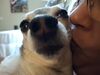 Filename=20250409_005.jpg
Filesize=2962KiB
Dimensions=2048x1536
Date added=Jul 10, 2025 20250409_005.jpg