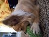 Filename=20250411_001.jpg
Filesize=2921KiB
Dimensions=2048x1536
Date added=Jul 10, 2025 20250411_001.jpg