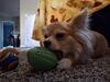 Filename=20250411_004.jpg
Filesize=3198KiB
Dimensions=2048x1536
Date added=Jul 10, 2025 20250411_004.jpg