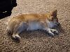 Filename=20250411_005.jpg
Filesize=3149KiB
Dimensions=2048x1536
Date added=Jul 10, 2025 20250411_005.jpg
