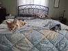 Filename=20250414_002.jpg
Filesize=3933KiB
Dimensions=2048x1536
Date added=Jul 10, 2025 20250414_002.jpg