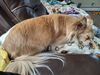 Filename=20250414_003.jpg
Filesize=4587KiB
Dimensions=2048x1536
Date added=Jul 10, 2025 20250414_003.jpg