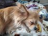 Filename=20250414_004.jpg
Filesize=3939KiB
Dimensions=2048x1536
Date added=Jul 10, 2025 20250414_004.jpg