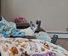 Filename=20250414_005.jpg
Filesize=661KiB
Dimensions=1817x1507
Date added=Jul 10, 2025 20250414_005.jpg