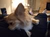 Filename=20250418_002.jpg
Filesize=3077KiB
Dimensions=2048x1536
Date added=Jul 10, 2025 20250418_002.jpg