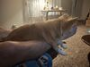 Filename=20250419_002.jpg
Filesize=3124KiB
Dimensions=2048x1536
Date added=Jul 10, 2025 20250419_002.jpg