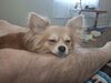 Filename=20250420_001.jpg
Filesize=4042KiB
Dimensions=2048x1536
Date added=Jul 10, 2025 20250420_001.jpg