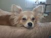 Filename=20250420_002.jpg
Filesize=3770KiB
Dimensions=2048x1536
Date added=Jul 10, 2025 20250420_002.jpg