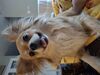 Filename=20250424_002.jpg
Filesize=3184KiB
Dimensions=2048x1536
Date added=Jul 10, 2025 20250424_002.jpg
