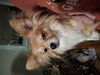Filename=20250424_005.jpg
Filesize=3256KiB
Dimensions=2048x1536
Date added=Jul 10, 2025 20250424_005.jpg