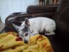 Filename=20250426_001.jpg
Filesize=3979KiB
Dimensions=2048x1536
Date added=Jul 10, 2025 20250426_001.jpg