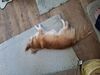Filename=20250428_001.jpg
Filesize=3720KiB
Dimensions=2048x1536
Date added=Jul 10, 2025 20250428_001.jpg