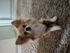 Filename=20250429_001.jpg
Filesize=3563KiB
Dimensions=2048x1536
Date added=Jul 10, 2025 20250429_001.jpg