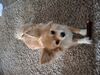 Filename=20250429_002.jpg
Filesize=3682KiB
Dimensions=2048x1536
Date added=Jul 10, 2025 20250429_002.jpg