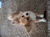 Filename=20250429_003.jpg
Filesize=3560KiB
Dimensions=2048x1536
Date added=Jul 10, 2025 20250429_003.jpg