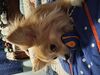 Filename=20250429_004.jpg
Filesize=3442KiB
Dimensions=2048x1536
Date added=Jul 10, 2025 20250429_004.jpg