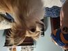 Filename=20250429_006.jpg
Filesize=3286KiB
Dimensions=2048x1536
Date added=Jul 10, 2025 20250429_006.jpg