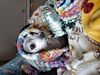 Filename=20250430_001.jpg
Filesize=3896KiB
Dimensions=2048x1536
Date added=Jul 10, 2025 20250430_001.jpg